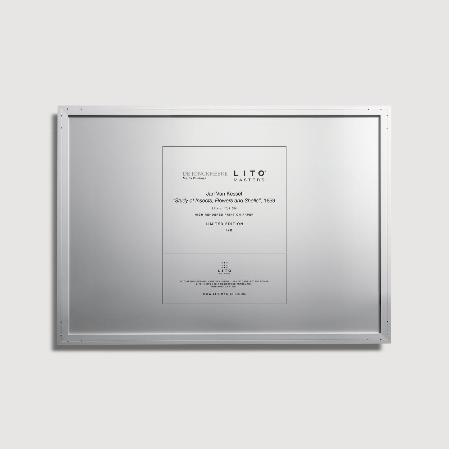 Jan van Kessel - Étude des insectes, des fleurs et des coquillages