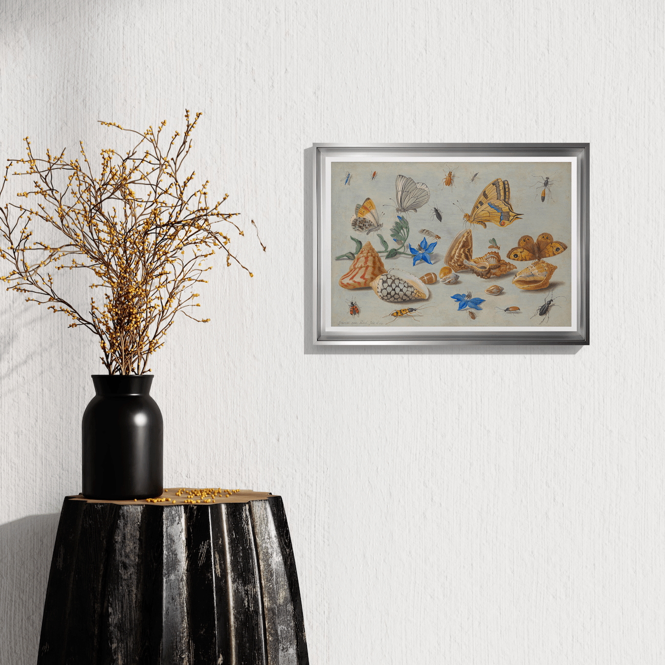 Jan van Kessel - Étude des insectes, des fleurs et des coquillages